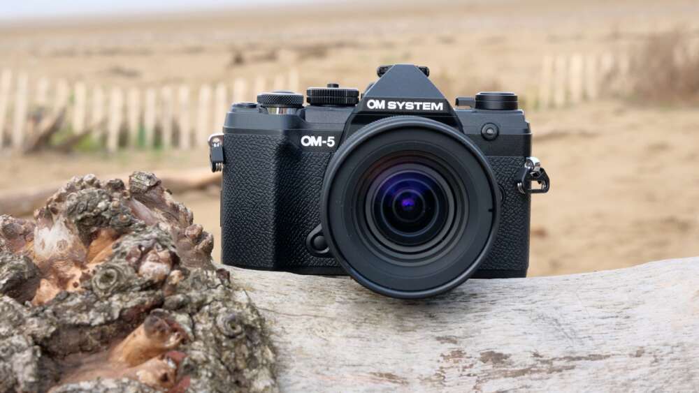 A black OM System OM-5 camera resting on a log at the beach, with barnacles attached to the log and sandy beach fencing in the background.