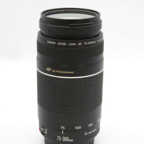 A Canon EF 75-300mm ultrasonic zoom lens with visible zoom and focus rings.